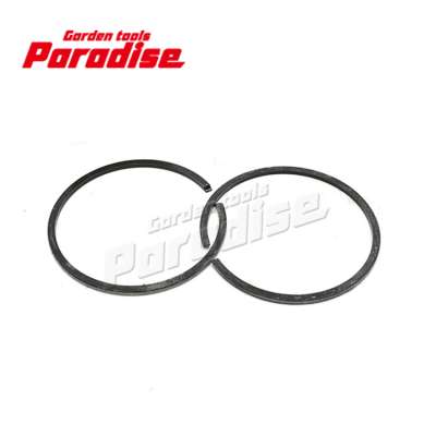 Piston Ring 41x1.5mm for SR340 SR420 4203 034 3000 Mist Sprayer Spare Parts 4203 034 3000